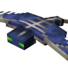 FANTOM
